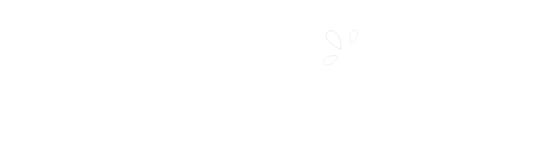 OTDream Vlog